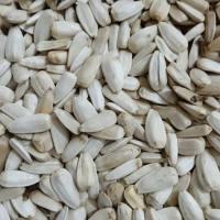تخمه سفید مخصوص انواع طوطی سانان پت شاپ احسان (یک کیلوگرمی)