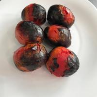 گوجه کبابی (یک سیخ)