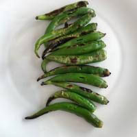 فلفل کبابی (یک سیخ)