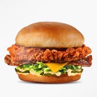 زینگر اسپایسی برگر