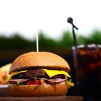 چیز برگر (۲۵۰ گرم)