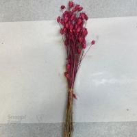 دسته گل خشک بورک یک