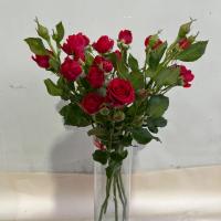 دسته گل رز مینیاتوری طیف رنگ قرمز