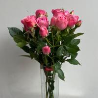 دسته گل رز مینیاتوری طیف رنگ صورتی 