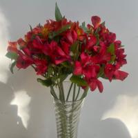 دسته گل آلسترومریا زرشکی