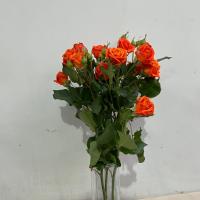 دسته گل رز مینیاتوری طیف رنگ نارنجی