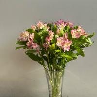 دسته گل آلسترومریا طیف رنگ صورتی