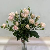دسته گل رز مینیاتوری طیف رنگ گلبه ای