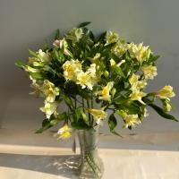 دسته گل آلسترومریا طیف رنگ کرم