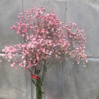 دسته گل عروس طیف رنگ صورتی 