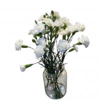 دسته گل میخک مینیاتوری طیف رنگ سفید