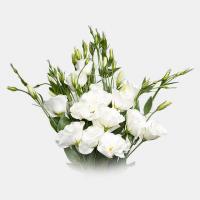دسته گل لیسینتیوس سفید