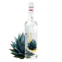 سیروپ آگاوه بارتینی Bartini Agave (Tequila) Syrup