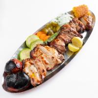 خوراک جوجه کباب با استخوان ارگانیک