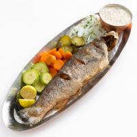 خوراک ماهی قزل آلا