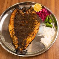 خوراک ماهی قزل آلا