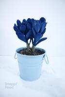 گلدان کراسولا کوچک آبی