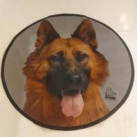 زیر انداز ظرف آب و غذای سگ و گربه پت مارک