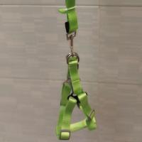 قلاده کتفی همراه باطناب