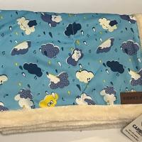 پتو و زیر انداز مخصوص پت