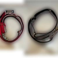 لید قلاده برند تیریکسی برای حمل دو عدد پت به صورت همزمان 