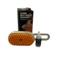 برس و شانه بخار دار برند شان