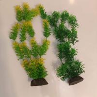 گیاه مخصوص آکواریوم ماهیان زینتی