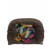 جای خواب اقتصادی مخصوص پت کتیز