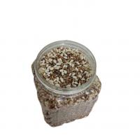 دان کامل هفت تخم با کیفیت و درجه یک مخصوص پرندگان کوچک (مرغ عشق)