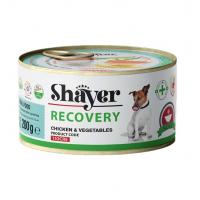 کنسرو ریکاوری سگ مرغ و سبزیجات شایر