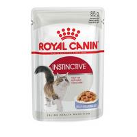 پوچ‌ گربه بالغ اینستینکتیو رویال کنین