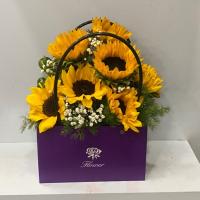 باکس دسته دار آفتاب گردان