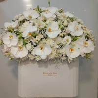 باکسبزرگسفید