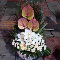 سبد گل ترحیم یک عدد - گل فروشی ساینا