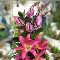 سبد‌ گل‌ آنتوریوم‌ لیلیوم  - گل فروشی ساینا