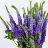 دسته گل ورونیکا سفید