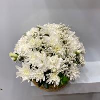 سبد گل سفید