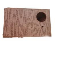 لانه طوطی سانان متوسط