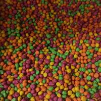 پلت طوطی سانان بلو 13 کیلوگرم