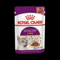 پوچ گربه بالغ sensory taste برند Royal canin رویال کنین 85 گرمی