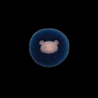 پرزگیر ماشین لباسشویی 1 عدد