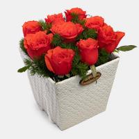 باکس گل رز ایرانی