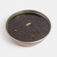 خورشت قورمه سبزی