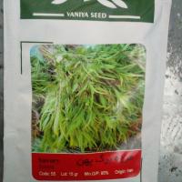 بذر مرزه برگ پهن بسته بندی