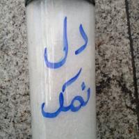 دل نمک ۸۵۰ گرم