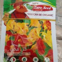 تخم گل لادن