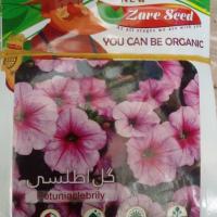 تخم گل اطلسی