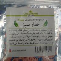 تخم خیار سبز چشمه