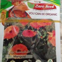 تخم گل هنیشه بهار