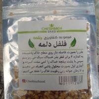 تخم فلفل دلمه ای چشمه